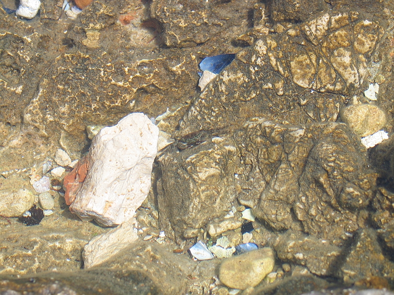 Original image